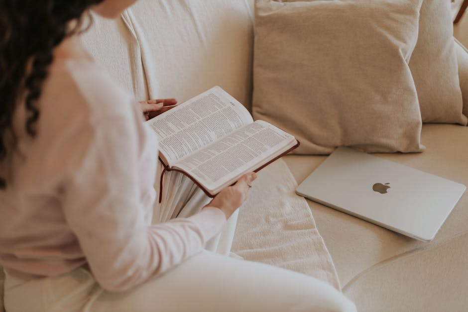 Certificat de finalizare curs